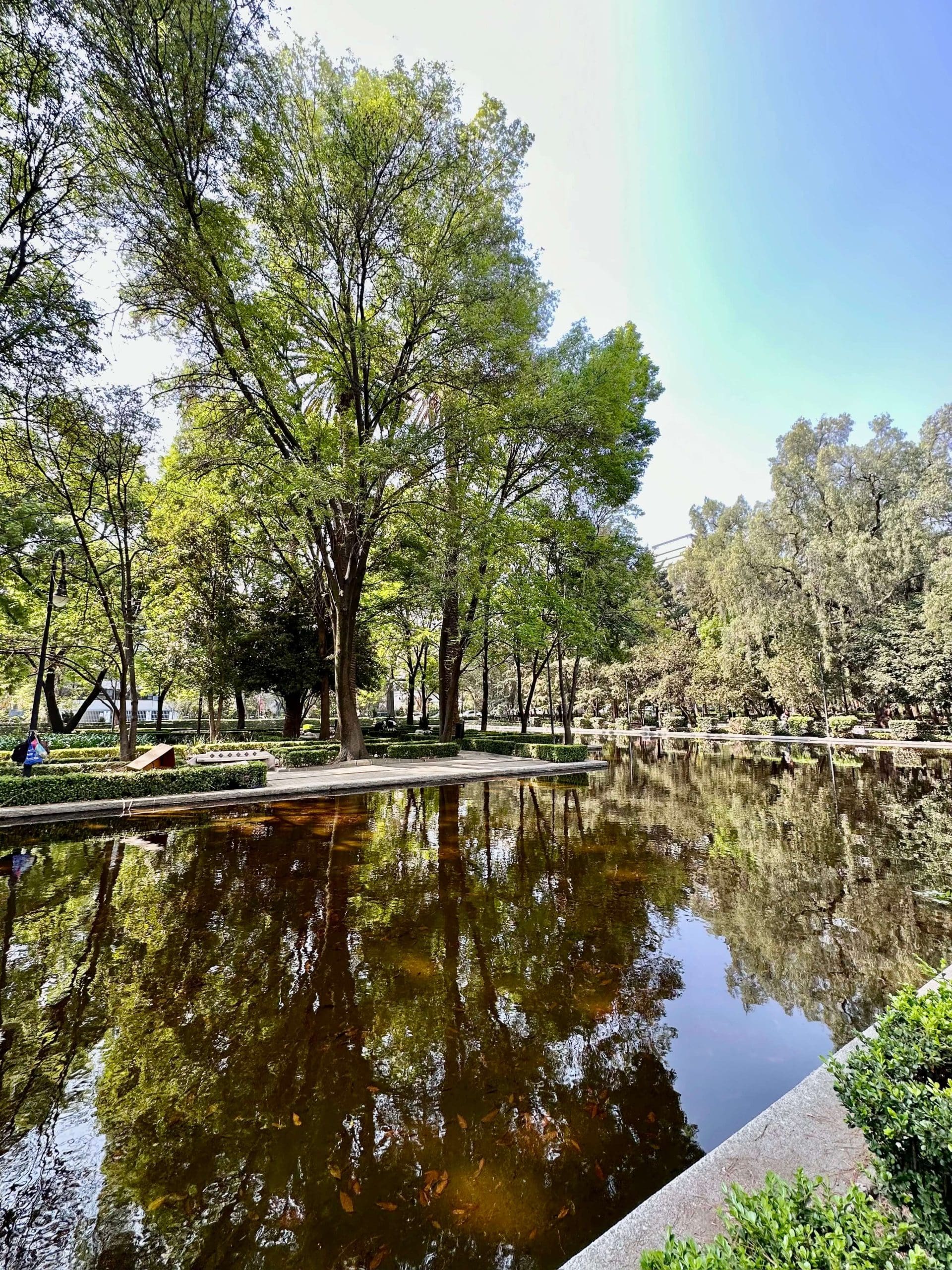 Mexico City Park