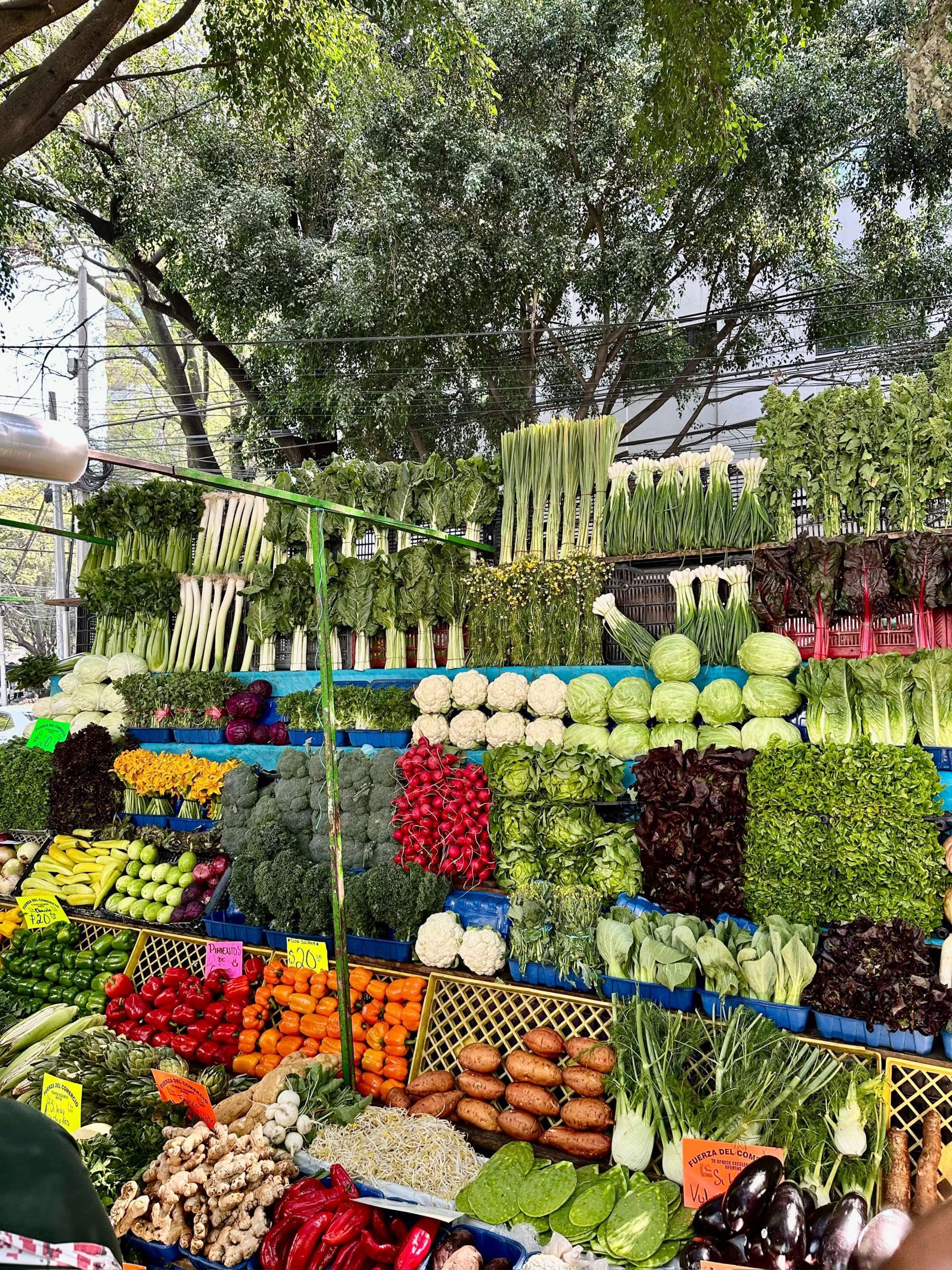 Mexico City Market