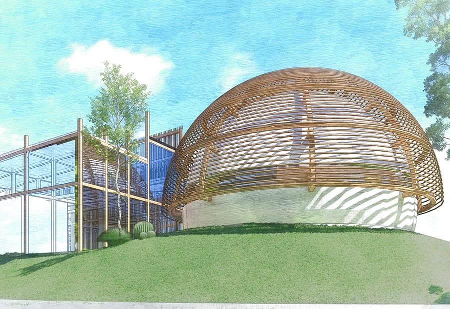 wood competition 02