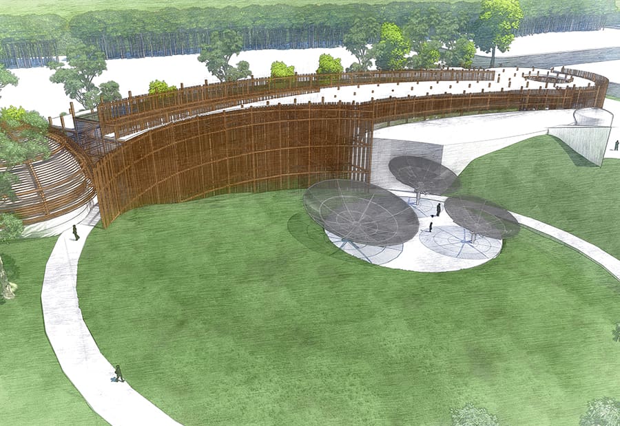 wood competition 03