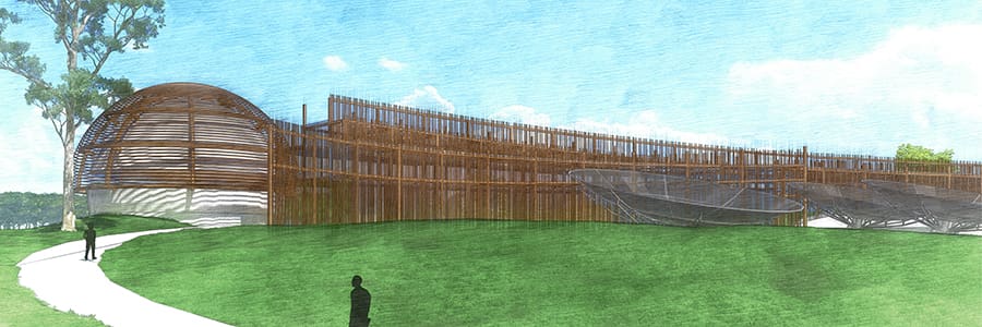 wood competition 06
